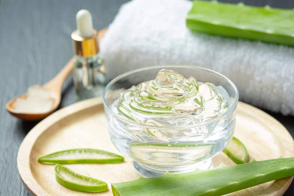 Aloe Vera Unveiled: Harnessing Nature's Elixir for Radiant Beauty
